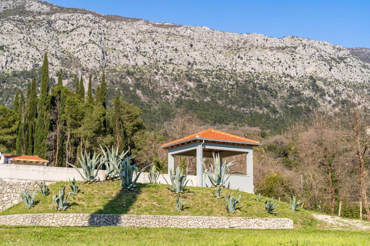 Villa Agave Gruda Kültér fotó