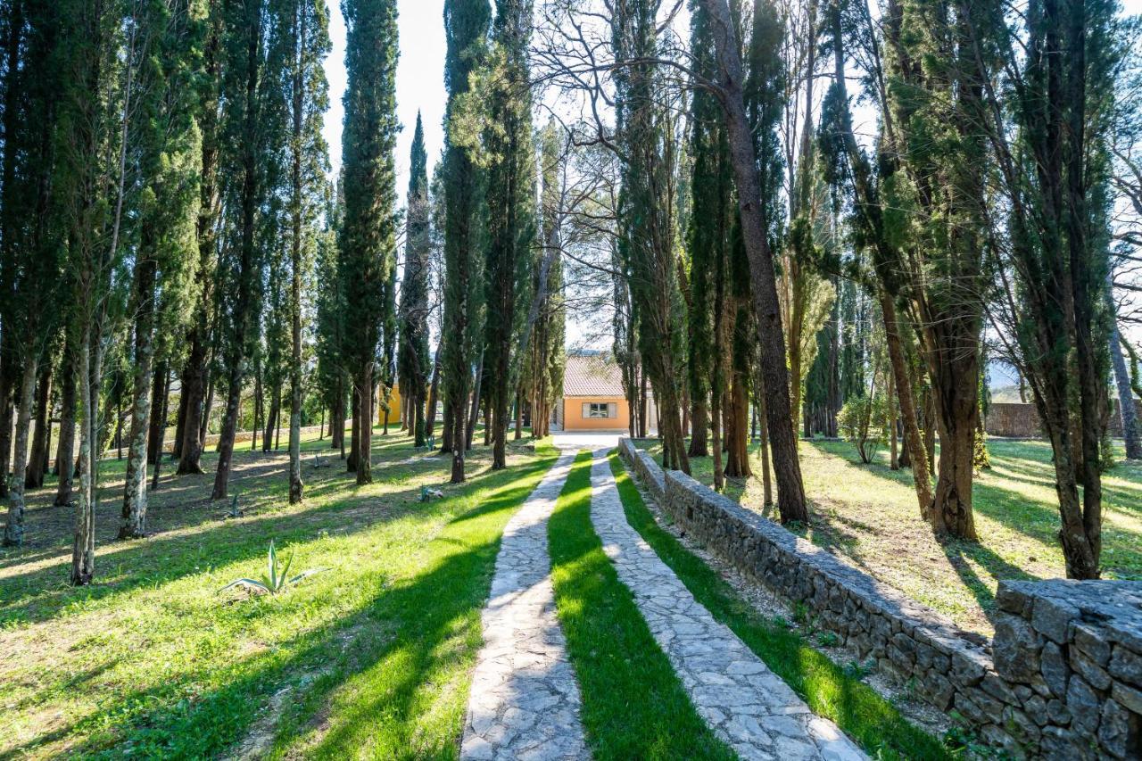 Villa Agave Gruda Kültér fotó