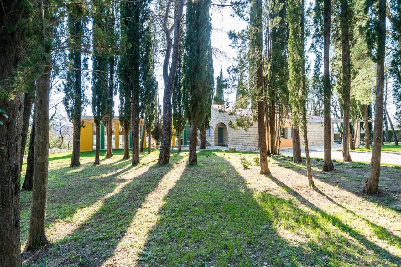 Villa Agave Gruda Kültér fotó