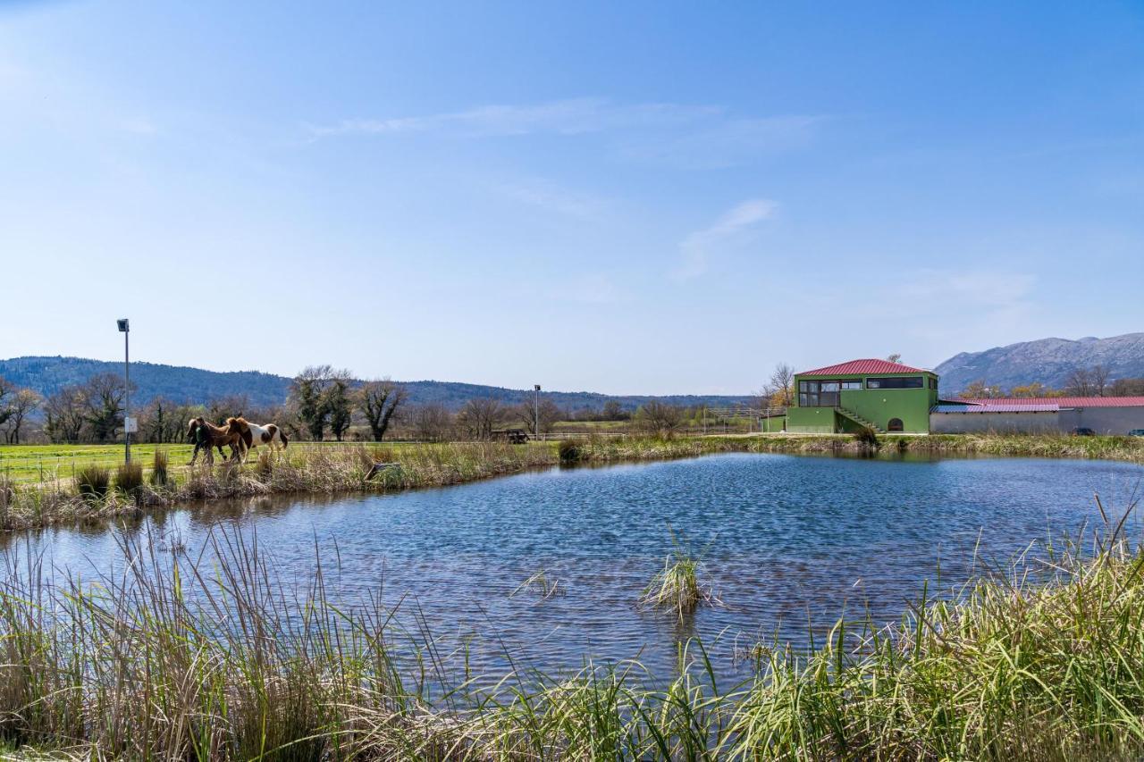 Villa Agave Gruda Kültér fotó