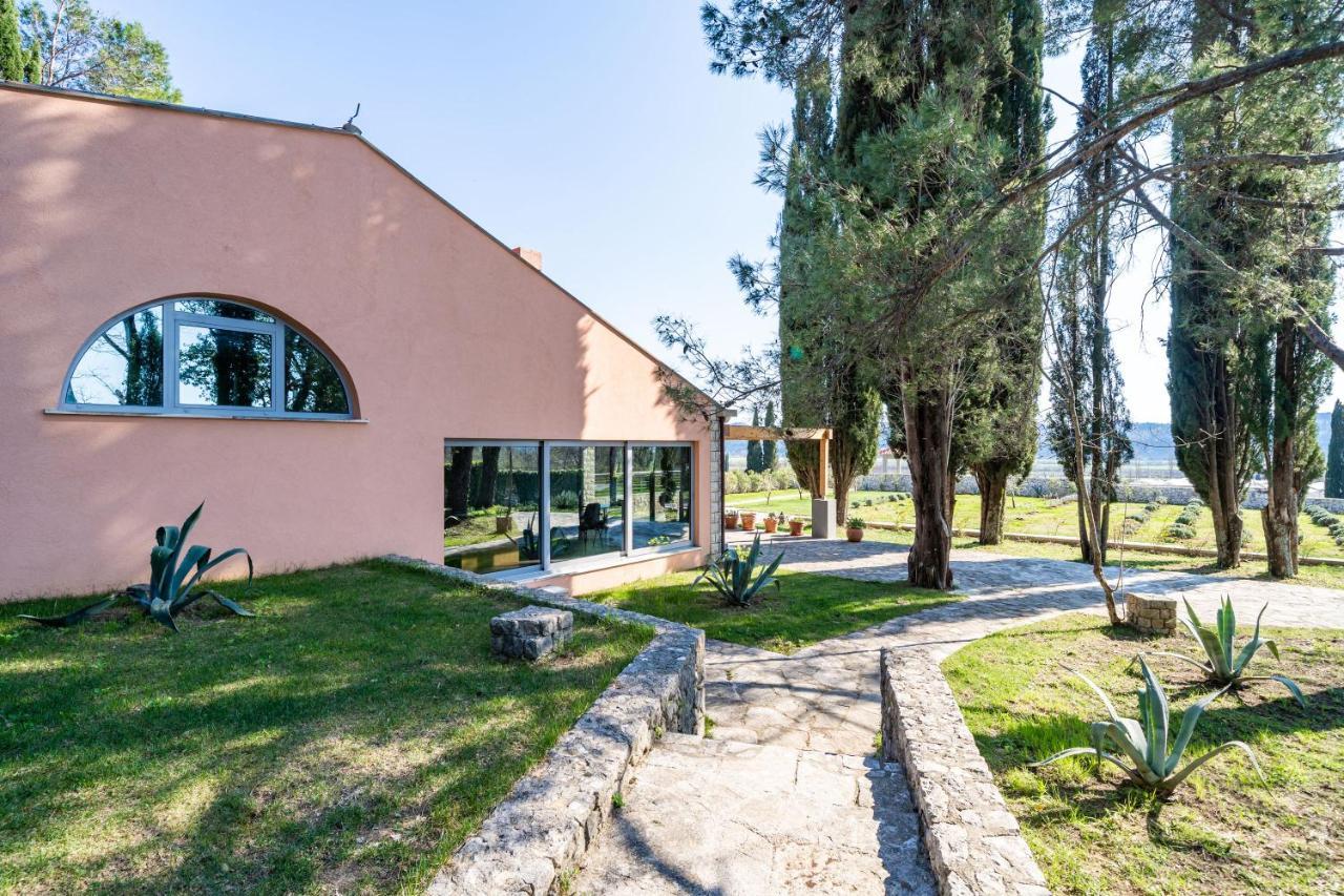 Villa Agave Gruda Kültér fotó