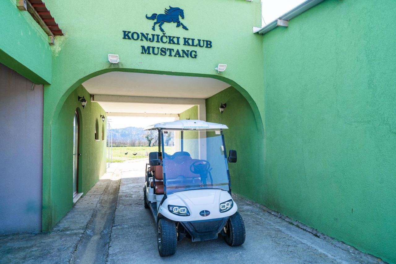 Villa Agave Gruda Kültér fotó